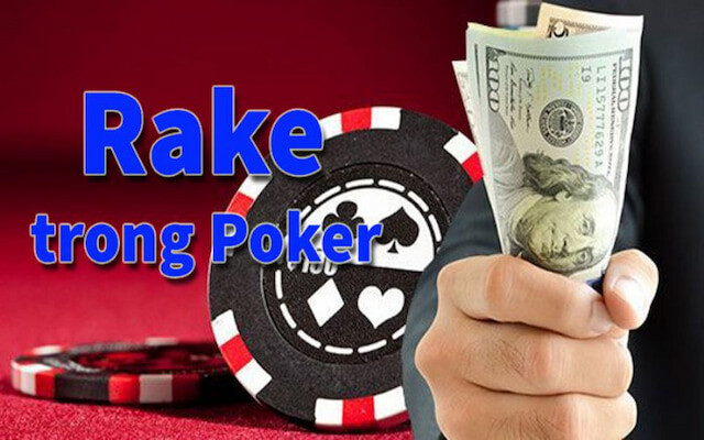 Rake là gì trong Poker?